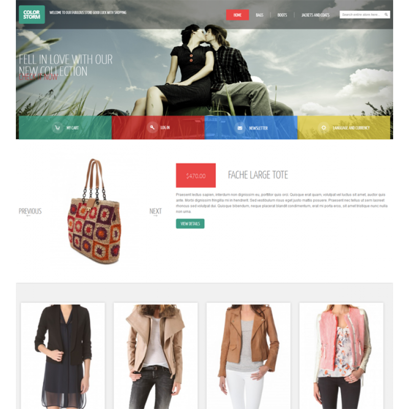 Colorstorm - Responsive&Retina Ready Magento Theme