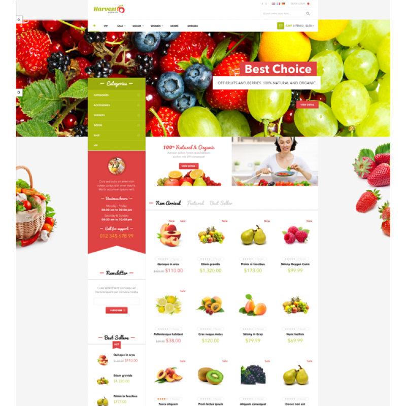 Ves Harvest Shop Responsive Magento Theme 