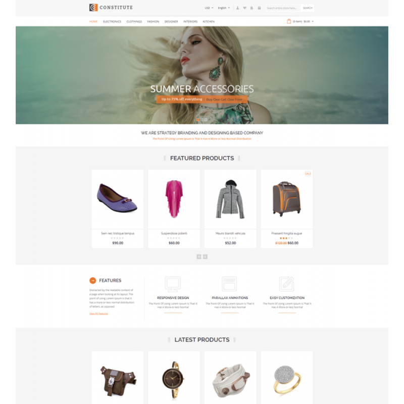 Constitute - Magento Responsive Theme 